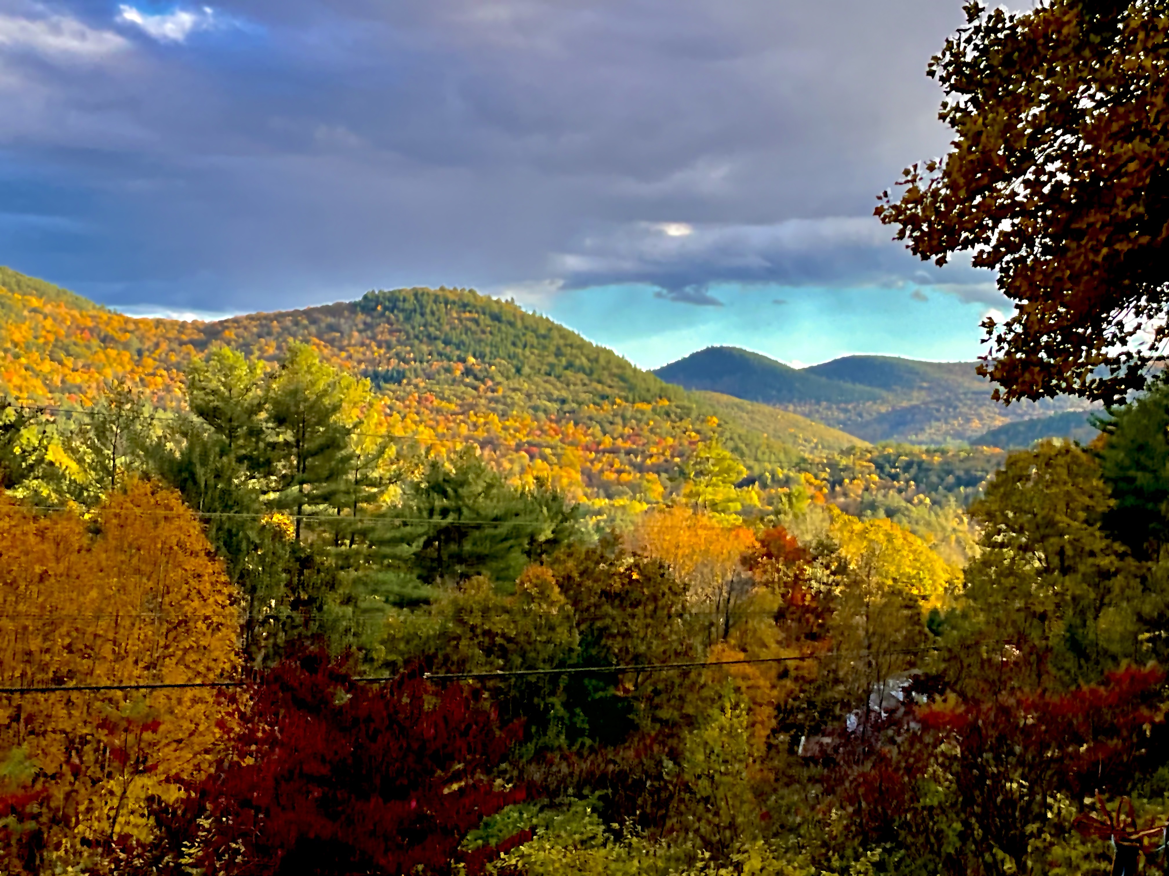 Fall_Colors