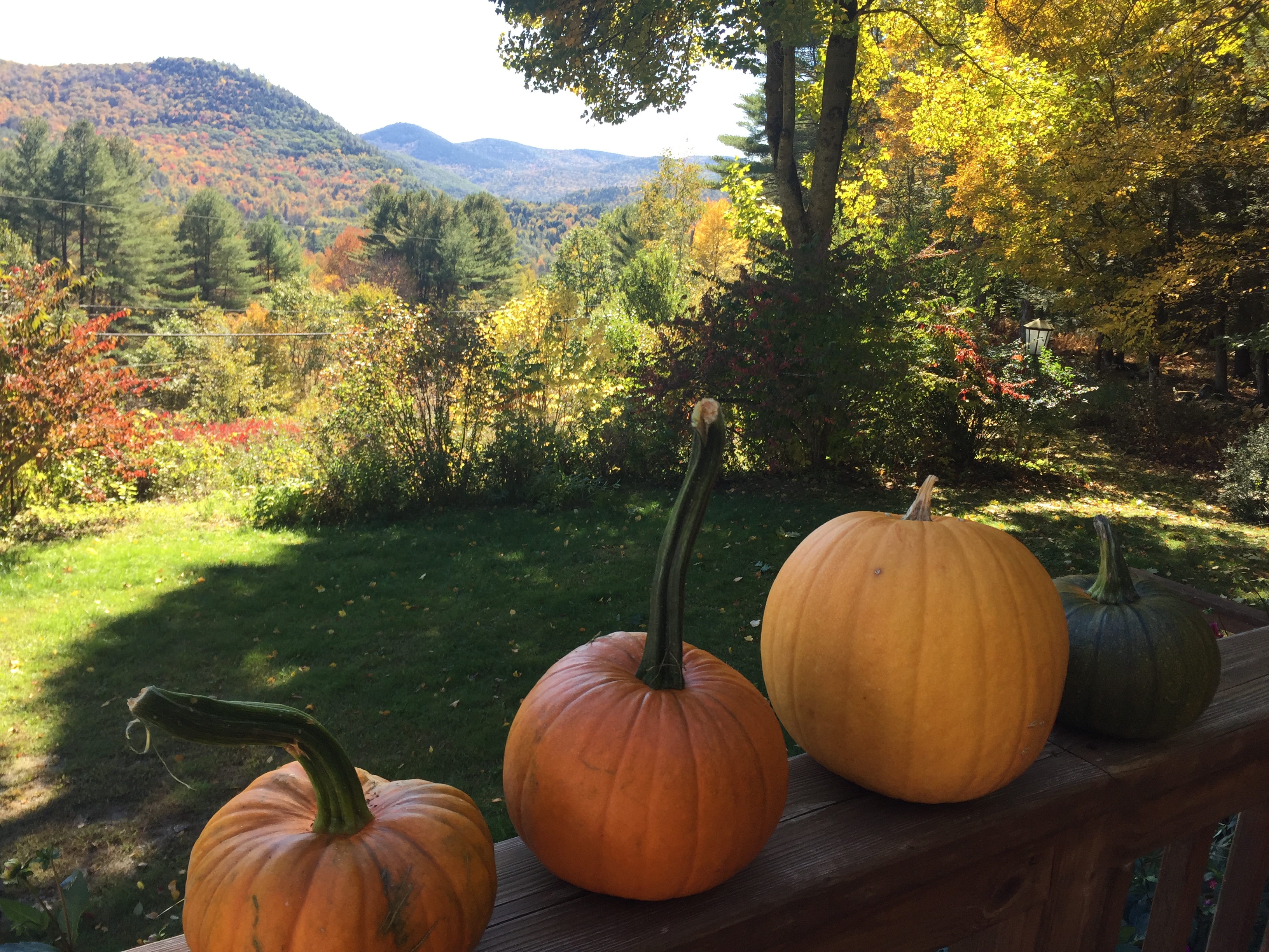 Autumn_with_Pumpkins